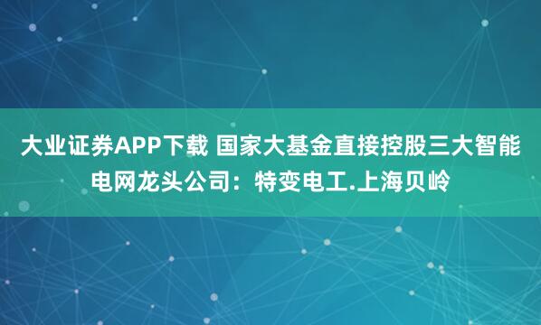 大业证券APP下载 国家大基金直接控股三大智能电网龙头公司：特变电工.上海贝岭