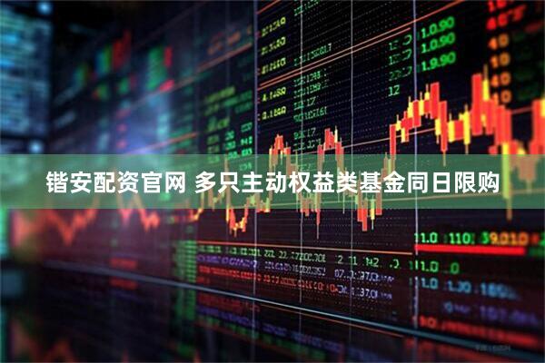 锴安配资官网 多只主动权益类基金同日限购