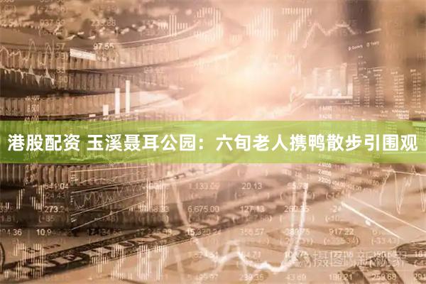 港股配资 玉溪聂耳公园：六旬老人携鸭散步引围观